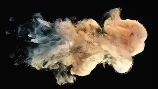 Bột phát triển Toshiba D5070 500g cho e-STUDIO